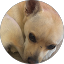L L Avatar